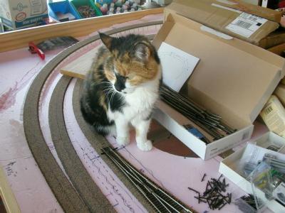 [feline helper]