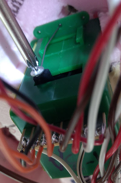 [Tortoise wire under screw]